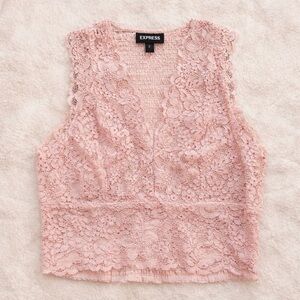 Express Blush Lace V neck Crop Top